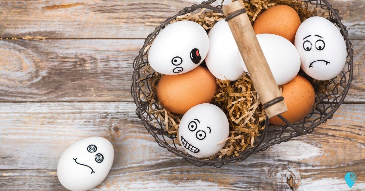 eggs in a basket -diversification